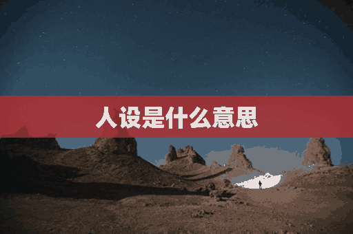 人设是什么意思